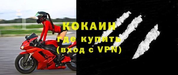 прущие грибы Бородино