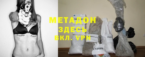 прущие грибы Бородино