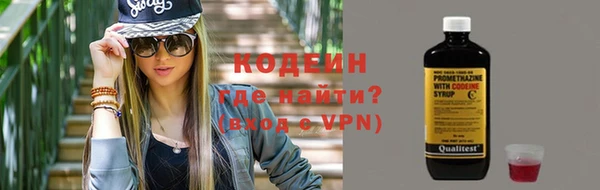 прущие грибы Бородино