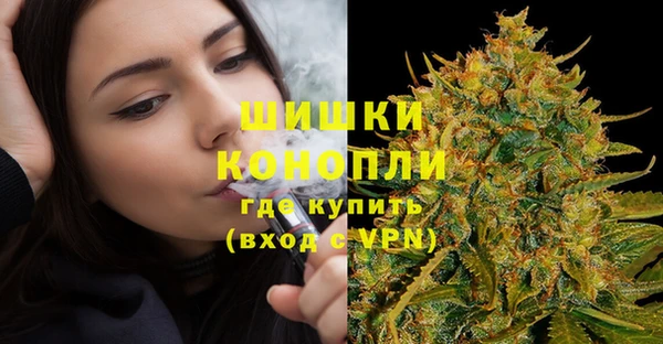 прущие грибы Бородино