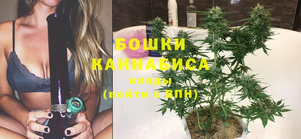 прущие грибы Бородино