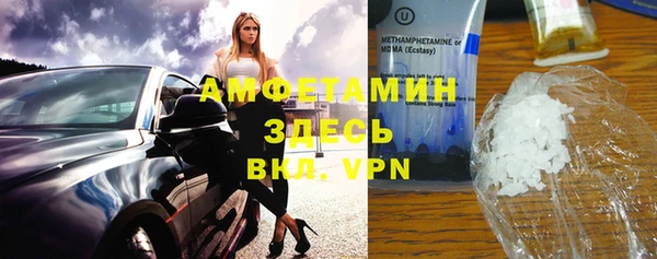 прущие грибы Бородино