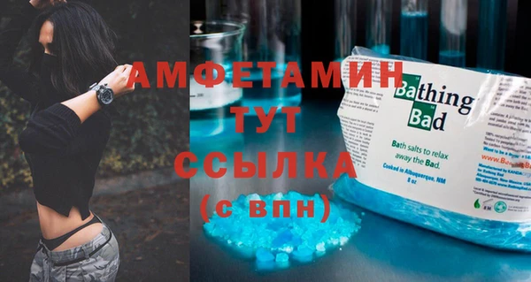 прущие грибы Бородино
