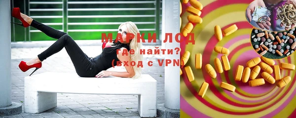 прущие грибы Бородино
