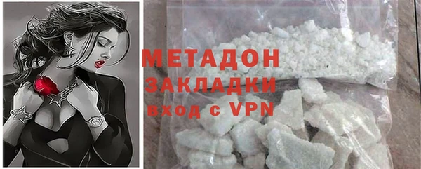 прущие грибы Бородино