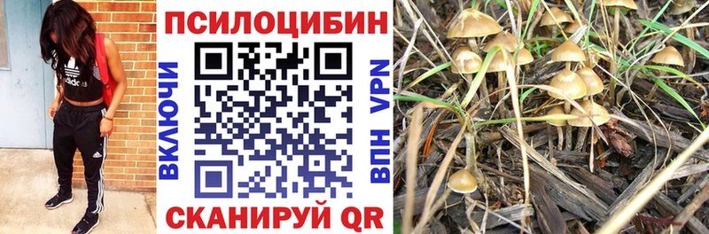 Галлюциногенные грибы Psilocybe  Миасс 